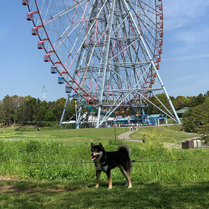 【東京都江戸川区】東京都立葛西臨海公園