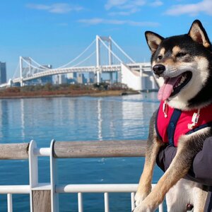 【東京都台場】お台場海浜公園からレインボーブリッジとフジテレビ