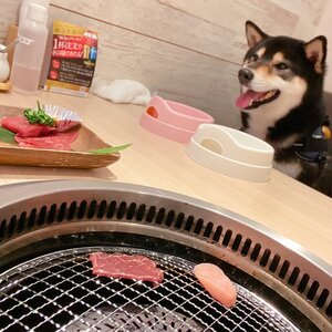 【東京都内】愛犬と一緒に焼肉を食べれる店『うしすけ』さん