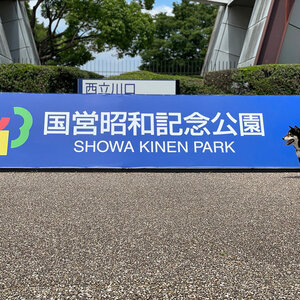 【東京都立川市】国営昭和記念公園を散歩♪あまりにも広すぎます！