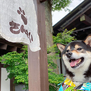 3歳の誕生日 日帰りドライブ in 山中湖 Vol.3（ほうとうのお店「さんさい」さん）