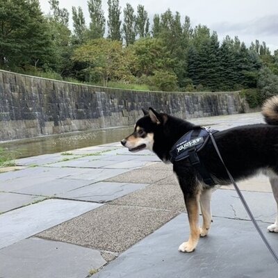 前田森林公園［札幌市］