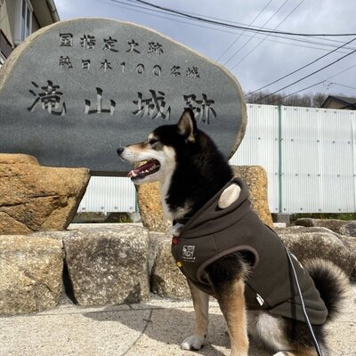 滝山城城跡