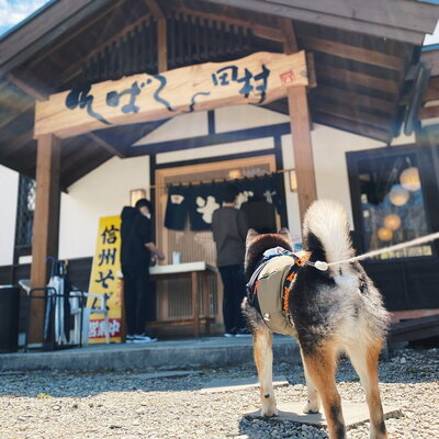 そば処 田村