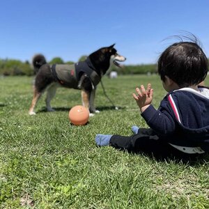 友達の子どもと昭和記念公園