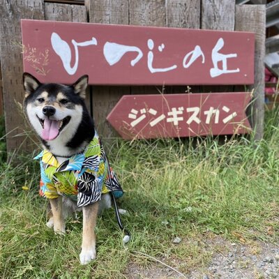 富良野ジンギスカン ひつじの丘［中富良野］