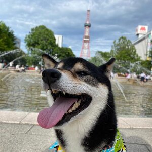 4歳の誕生日のお祝いで北海道旅行！