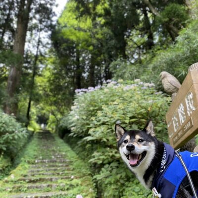 恩賜箱根公園