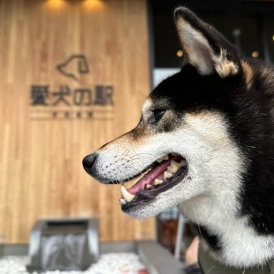 愛犬の駅 伊豆高原