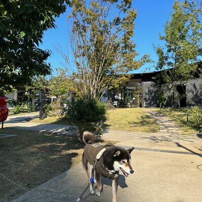 町田薬師池公園 四季彩の杜 西園