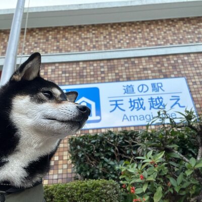 道の駅　天城越え