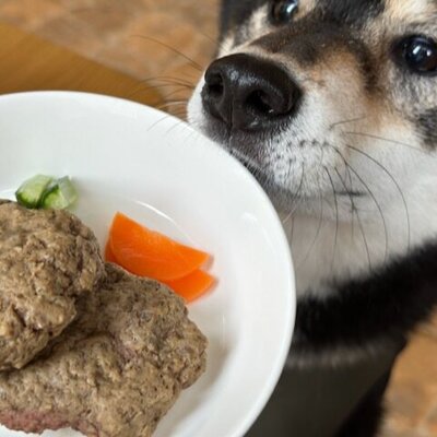 和食だワン