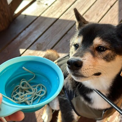 手打ちそば・和食　やまびこ［修善寺］