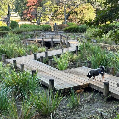 町田薬師池公園｜四季彩の杜