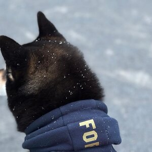 今年も雪が積もりました！