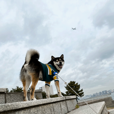 城南島海浜公園［大田区］