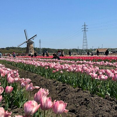 佐倉ふるさと広場