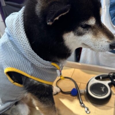 ドッグデプト アウトレット 軽井沢プリンス店