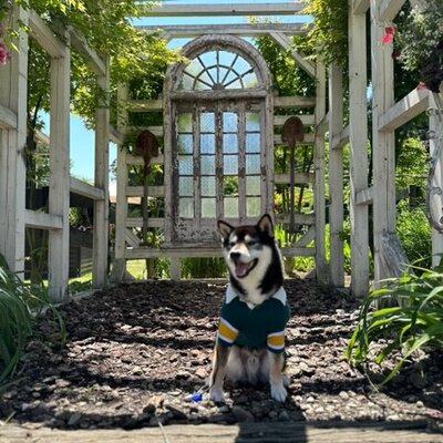 横川サービスエリア(下り)