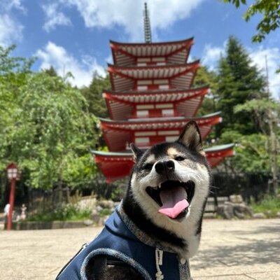 新倉山浅間公園・忠霊塔