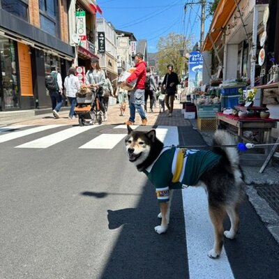 旧軽井沢銀座通り