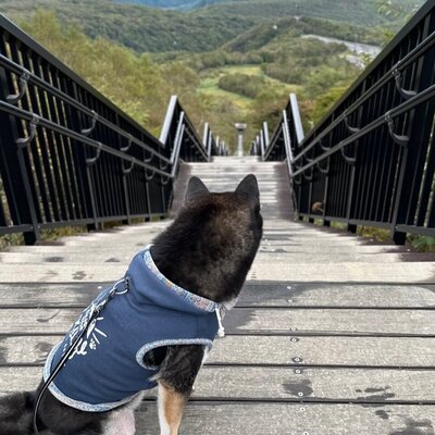 日光市霧降高原キスゲ平園地