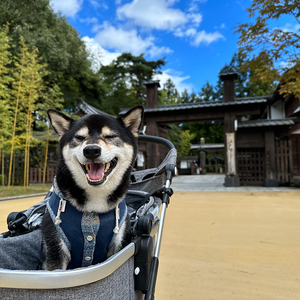 日光・鬼怒川温泉に1泊2日で行ってきました！