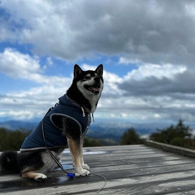 日光市霧降高原キスゲ平園地