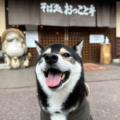 そば処 おっこと亭