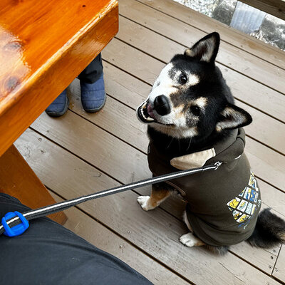 そば処 おっこと亭