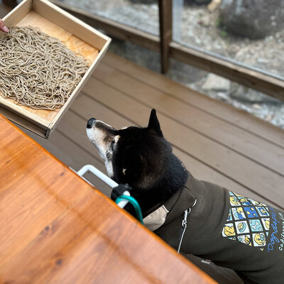 そば処 おっこと亭