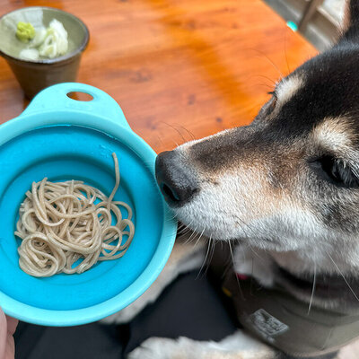 そば処 おっこと亭