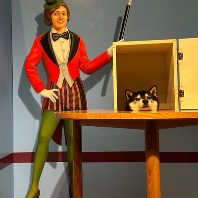 那須とりっくあーとぴ トリックアート迷宮?館