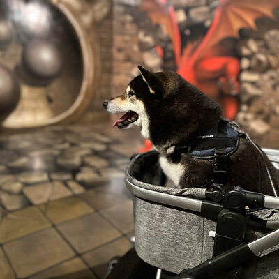 那須とりっくあーとぴ トリックアート迷宮?館