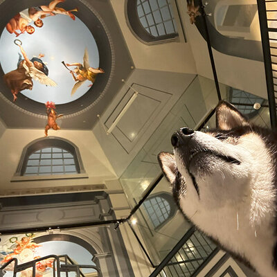 那須とりっくあーとぴ トリックアート迷宮?館