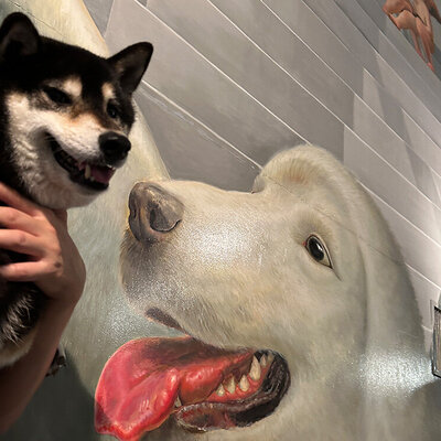 那須とりっくあーとぴ トリックアート迷宮?館