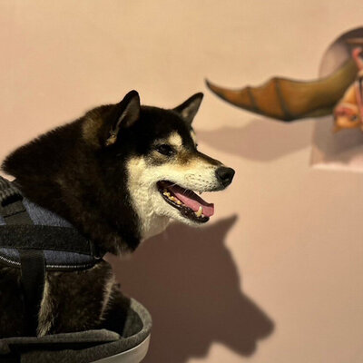 那須とりっくあーとぴ トリックアート迷宮?館