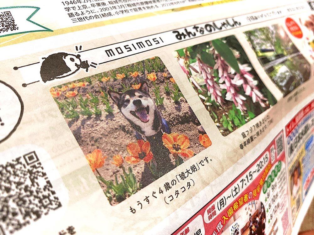 フリーペーパー『もしもし』誌面版・WEB版に掲載していただきました！