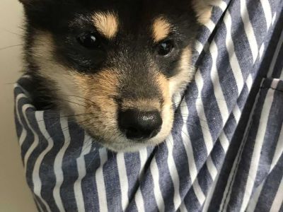 2日目、少しずつ慣れて来たかな？