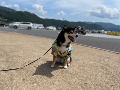 3歳の誕生日 日帰りドライブ in 山中湖 Vol.1（談合坂SA下り）