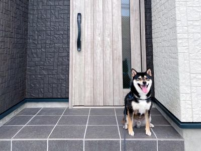 今日で引っ越して2年！琥大朗と引っ越ししようと検討した理由