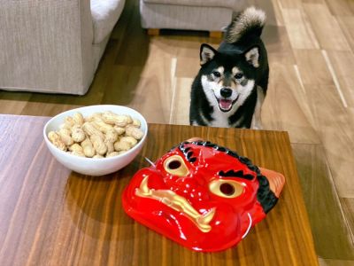 2月3日は節分！今年はわんこ用の恵方巻きも用意