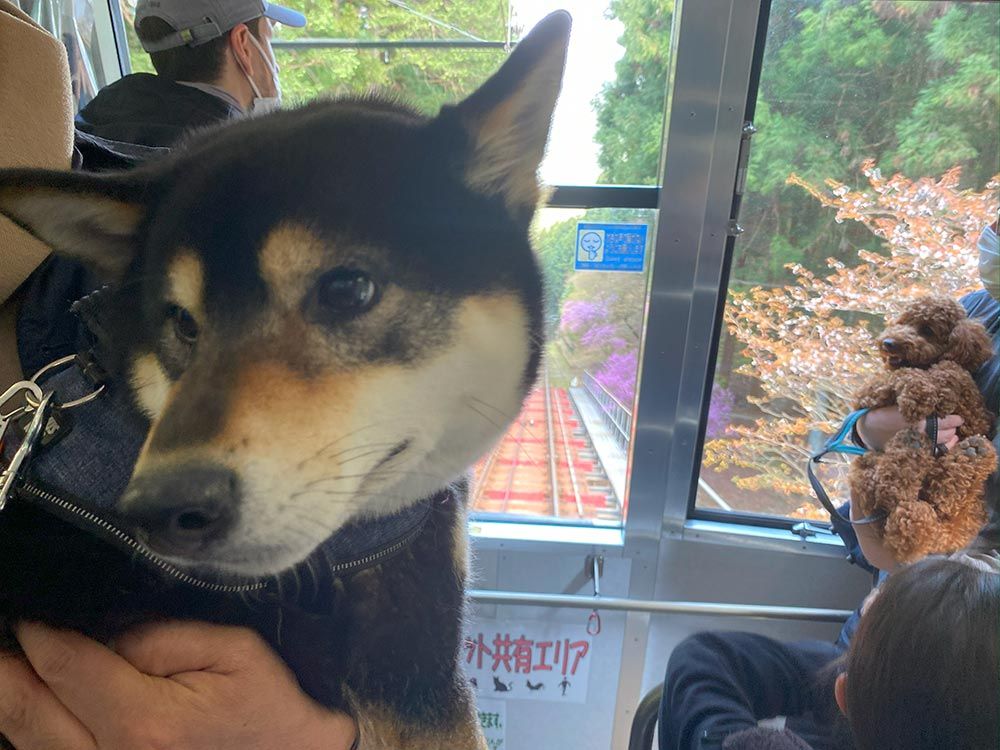 御岳山ケーブルカー（御岳山登山鉄道）