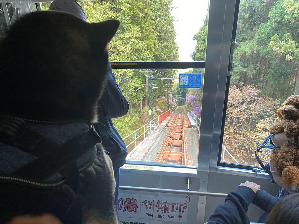 御岳山ケーブルカー（御岳山登山鉄道）