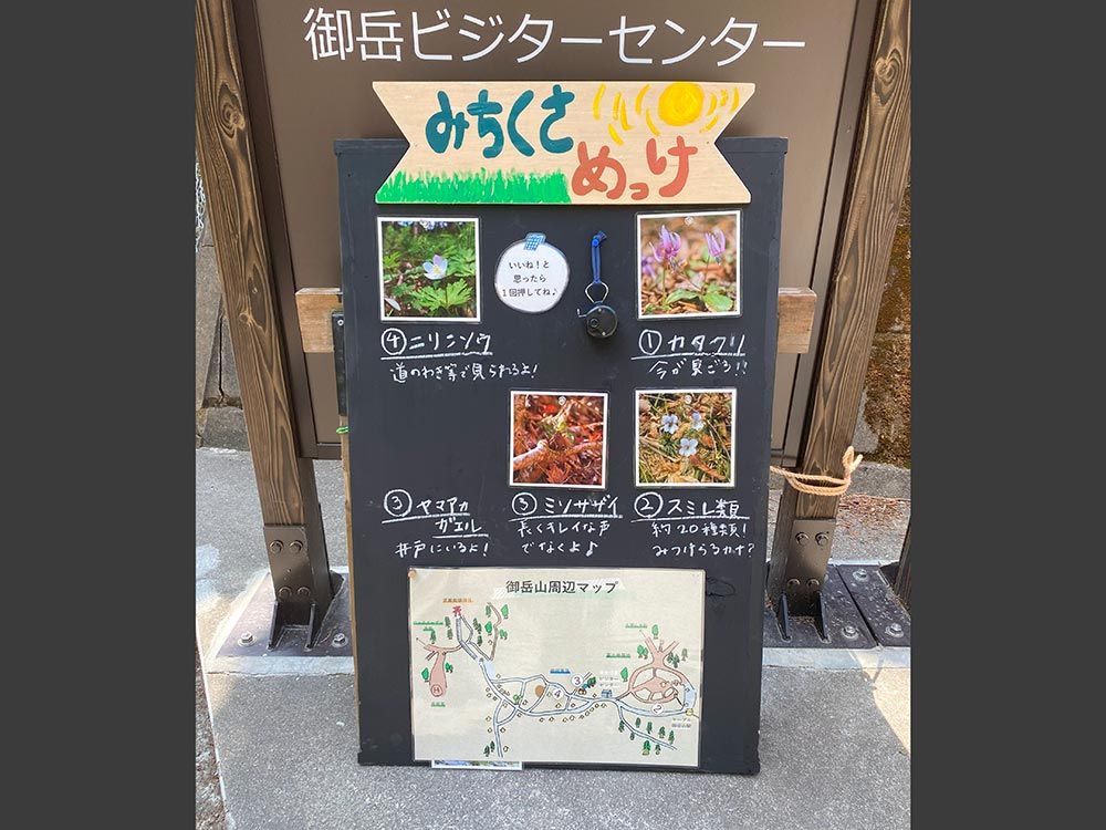 御岳山ケーブルカー（御岳山登山鉄道）