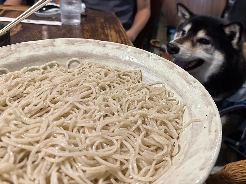 蕎麦工房 五色庵