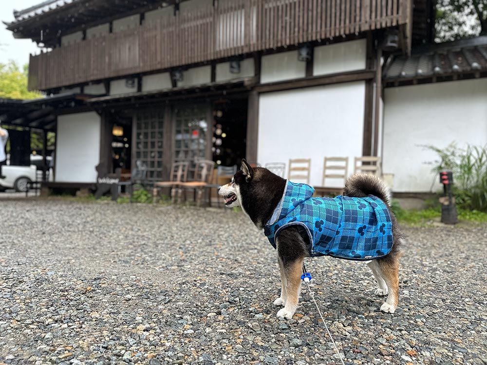 蕎麦工房 五色庵