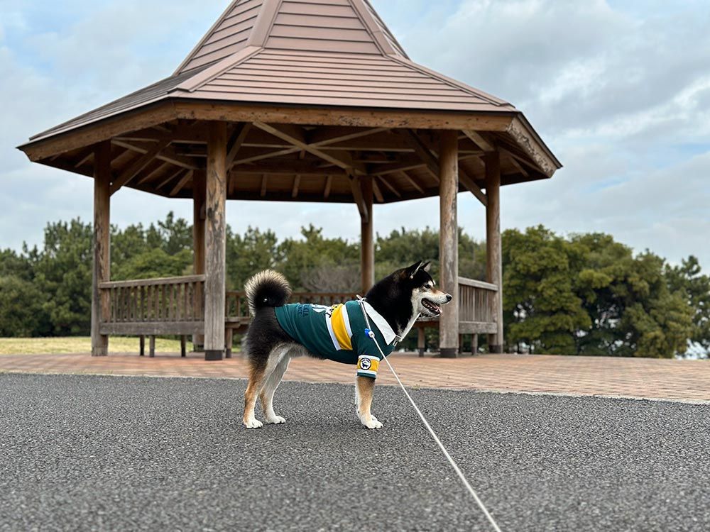 城南島海浜公園