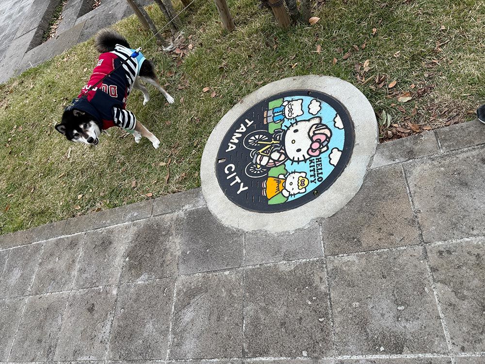 多摩中央公園｜TAMA CENTRAL PARK