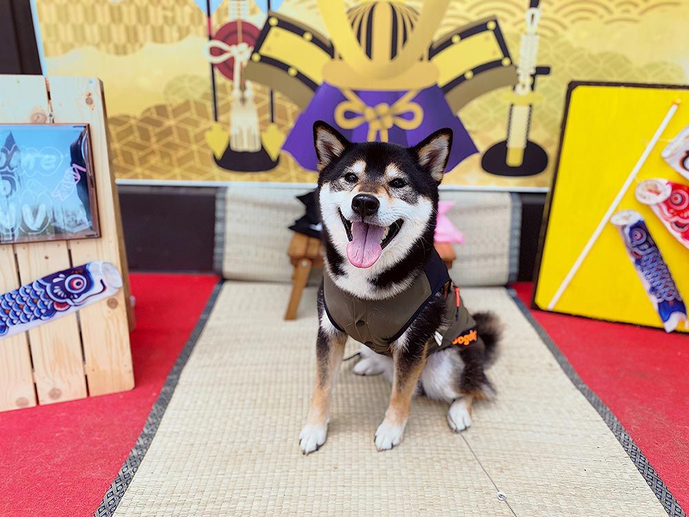 わんダフルネイチャーヴィレッジ